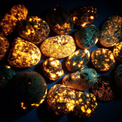 Oh god it's spreading