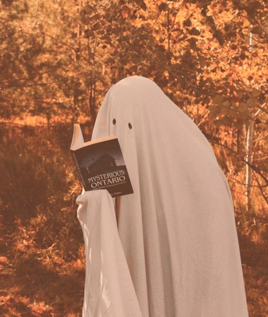 a ghost reading a book