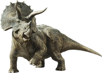 Triceratops