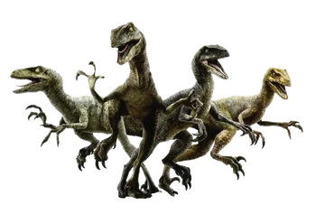 Velociraptor